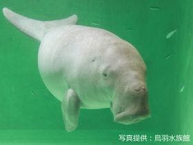 湯快リゾート　温泉リゾートホテル　志摩彩朝楽