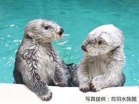 湯快リゾート　温泉リゾートホテル　志摩彩朝楽