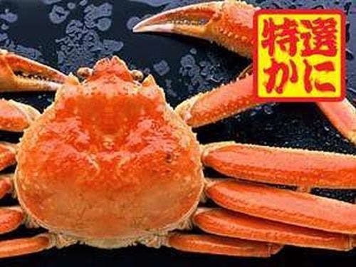 【和室】人数に合わせた広さのお部屋