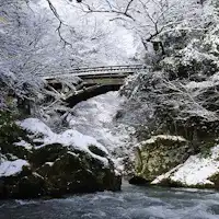 こうろぎ橋 冬