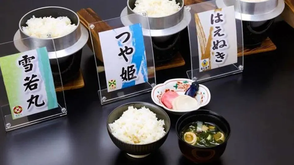 Kyukamura Shonai-Haguro