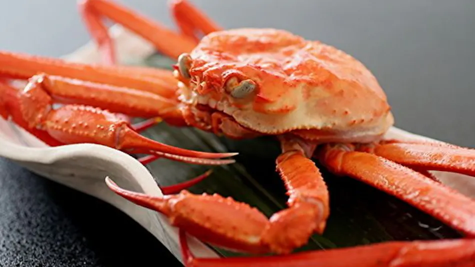 Kyukamura Oku-Daisen