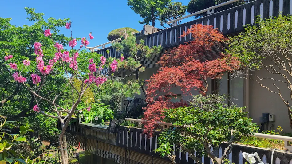 Atami Kinjo-kan