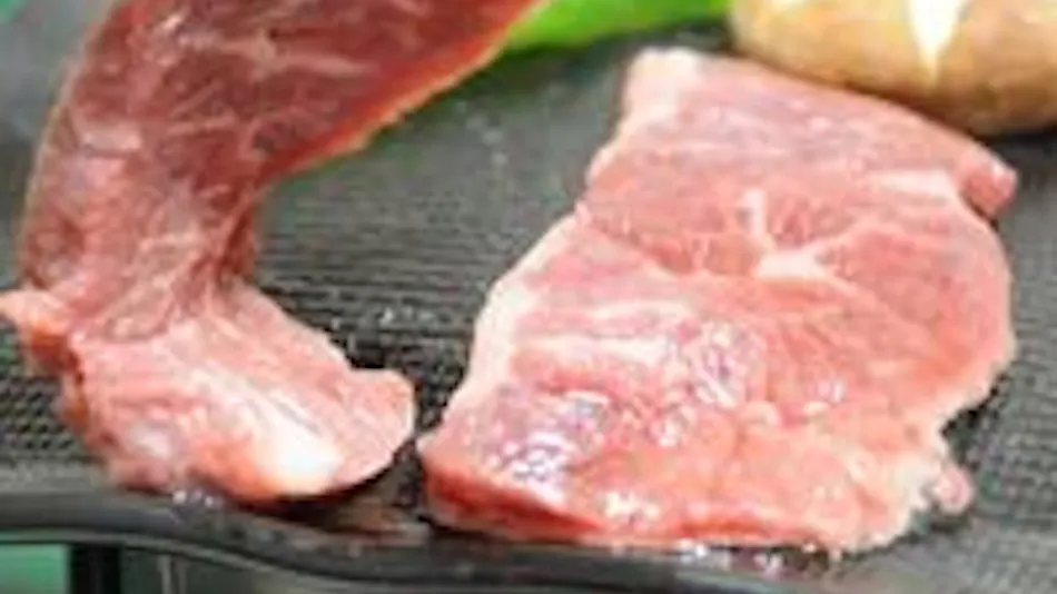 Natural Hot Spring Ura-yu Ryokan Urashima