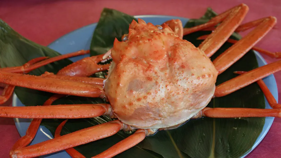 Oyashirazu Tourist Hotel