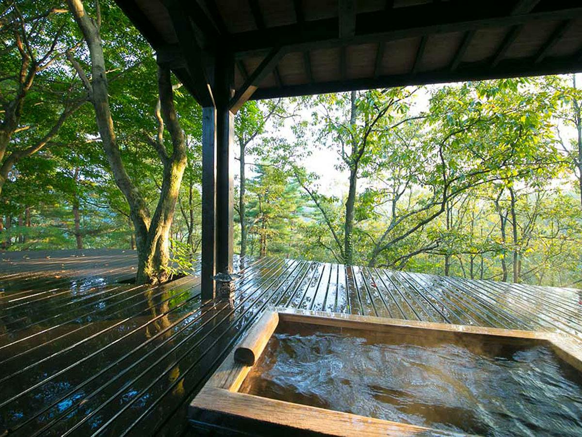 Shukubo Kawasemi no Sho ~The Kingfisher Resort~