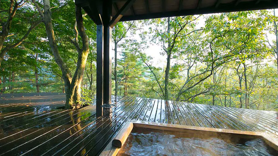 Shukubo Kawasemi no Sho ~The Kingfisher Resort~