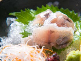 宿房　翡翠之庄～Ｔｈｅ Ｋｉｎｇｆｉｓｈｅｒ ｒｅｓｏｒｔ～