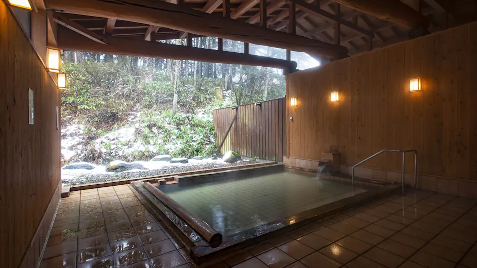 Mikuni Pass Onsen Oyado Honjin Setsugetsufuka Tsukimi-an Yukimi-an