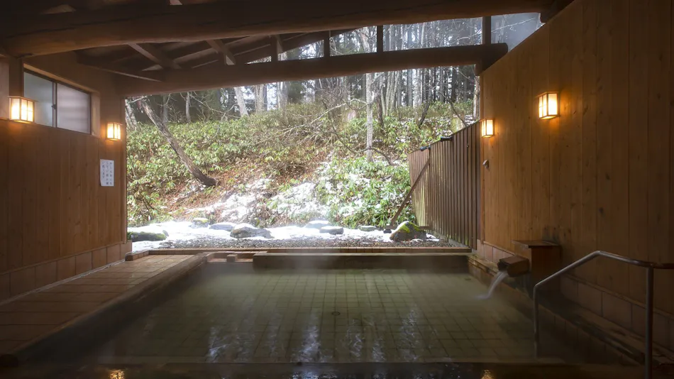 Mikuni Pass Onsen Oyado Honjin Setsugetsufuka Tsukimi-an Yukimi-an