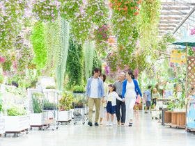 くれたけイン掛川