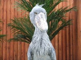 くれたけイン掛川