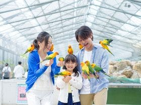 くれたけイン掛川