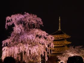 京都プラザホテル 本館