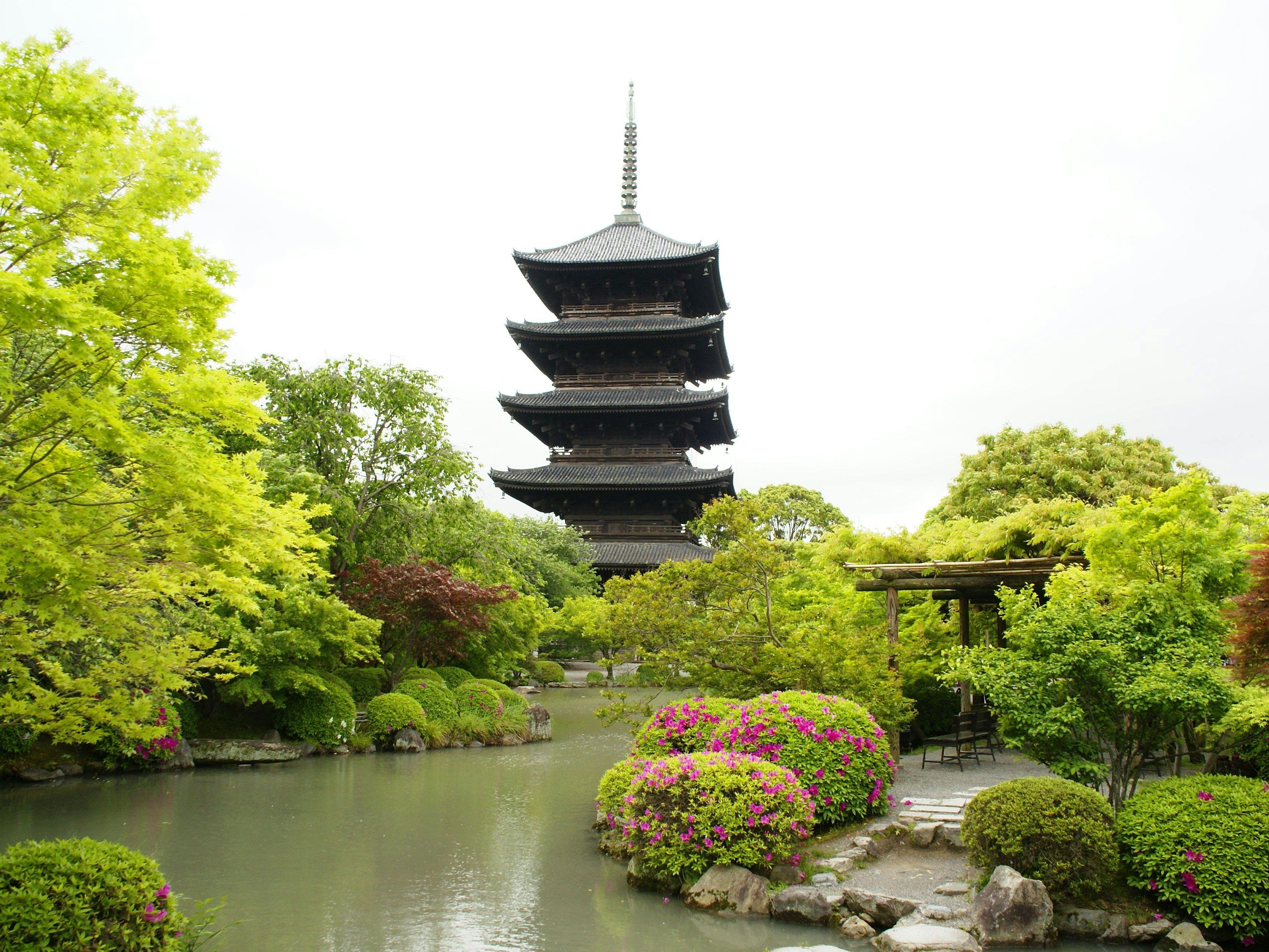 新綠美麗的東寺