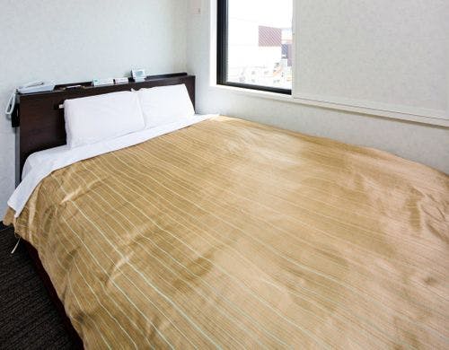 東寺五重塔まで朝さんぽ