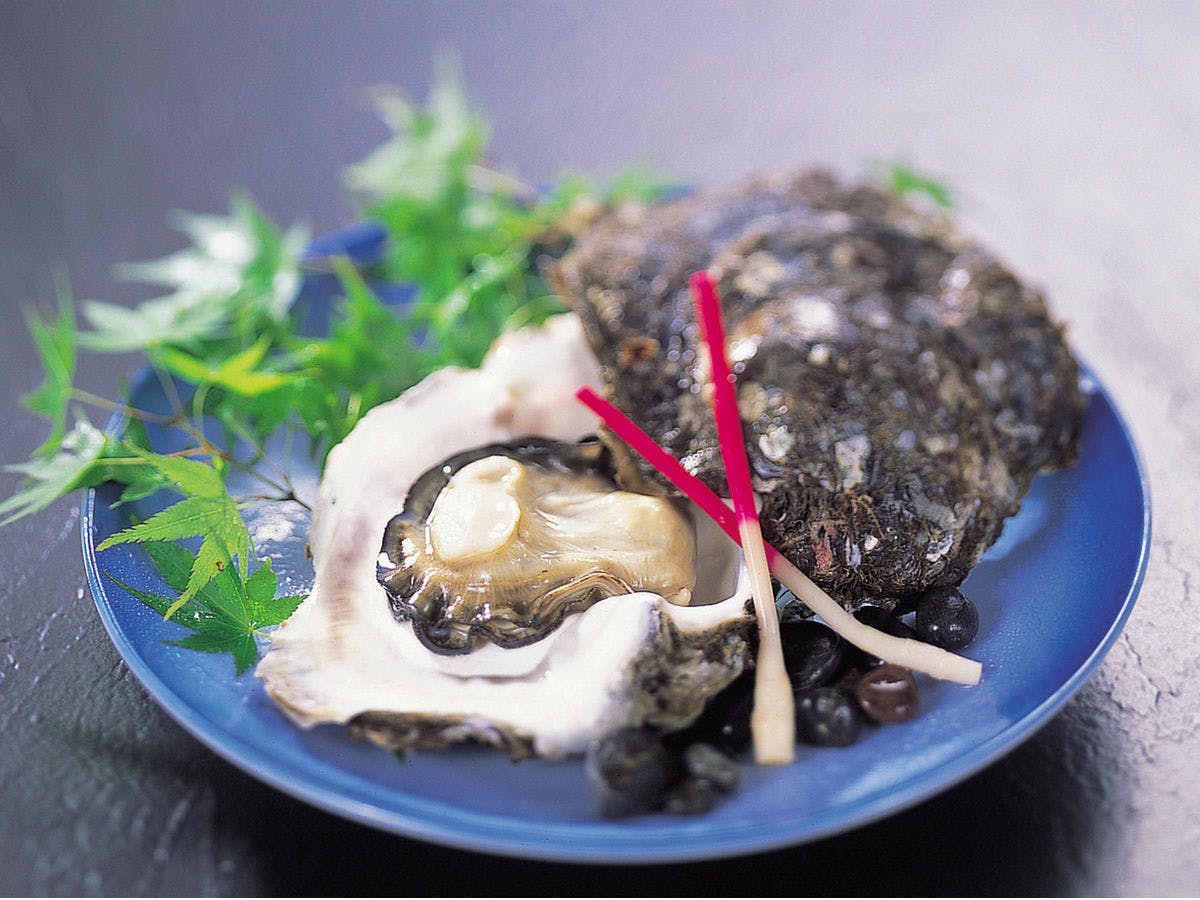 Toba Michishio