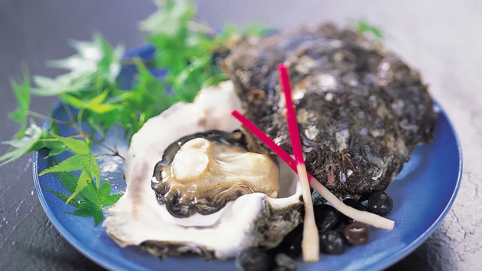 Toba Michishio