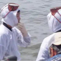 지역 여성 해녀들