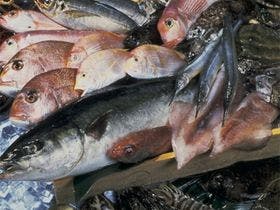 三方五湖　美浜温泉　海のホテルひろせ