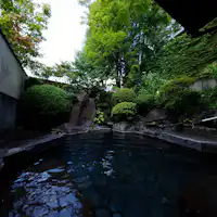 บ่อน้ำพุร้อนกลางแจ้ง