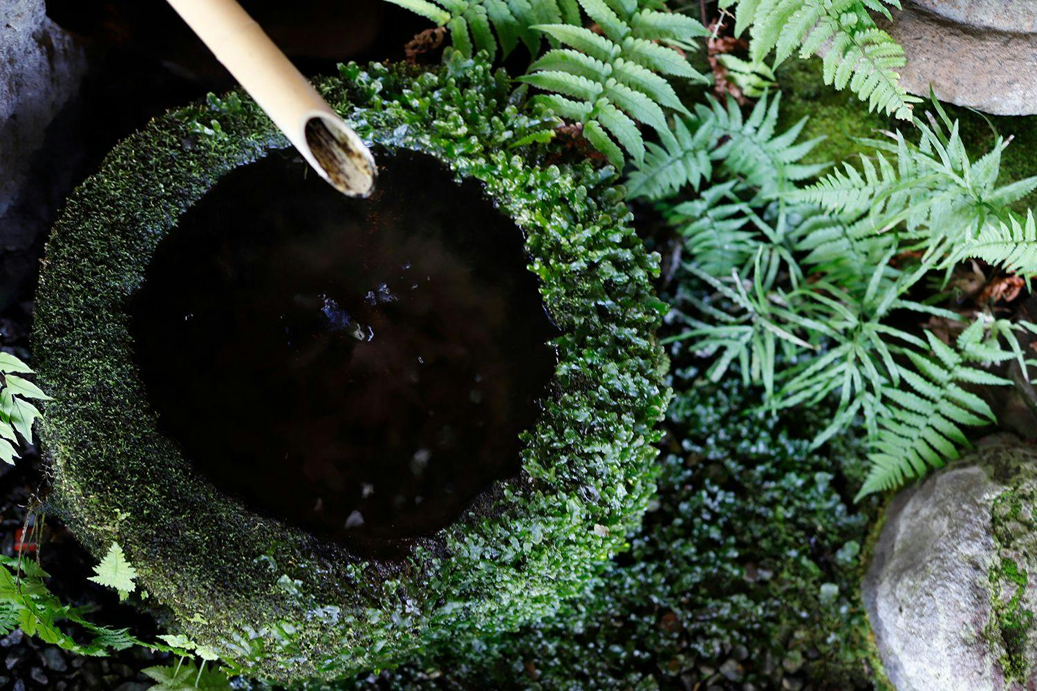 ทัศนียภาพ