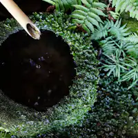 ทัศนียภาพ