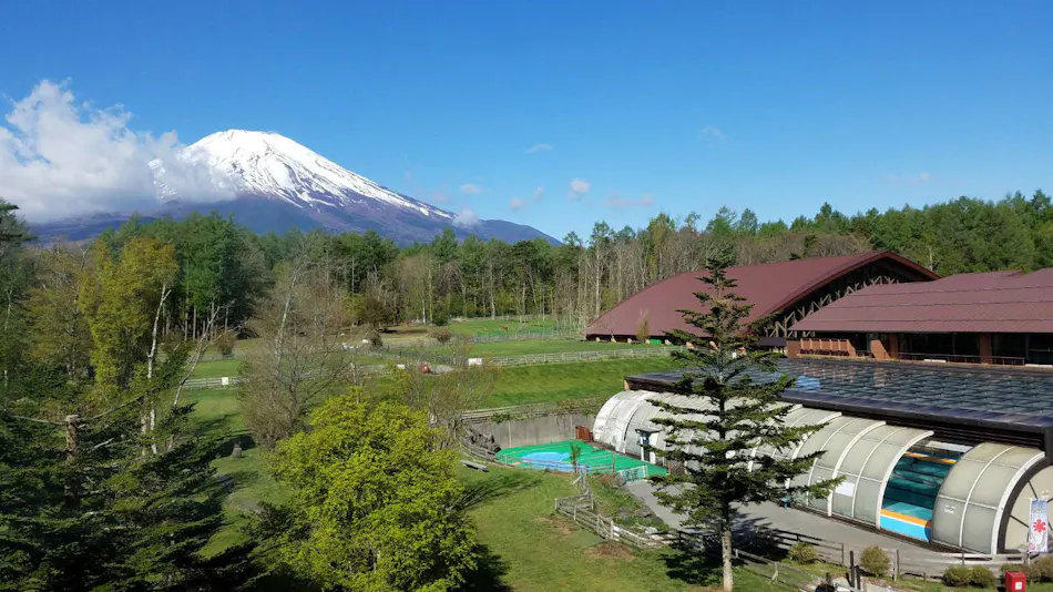 Dog Resort Woof: Pet-Friendly Accommodation