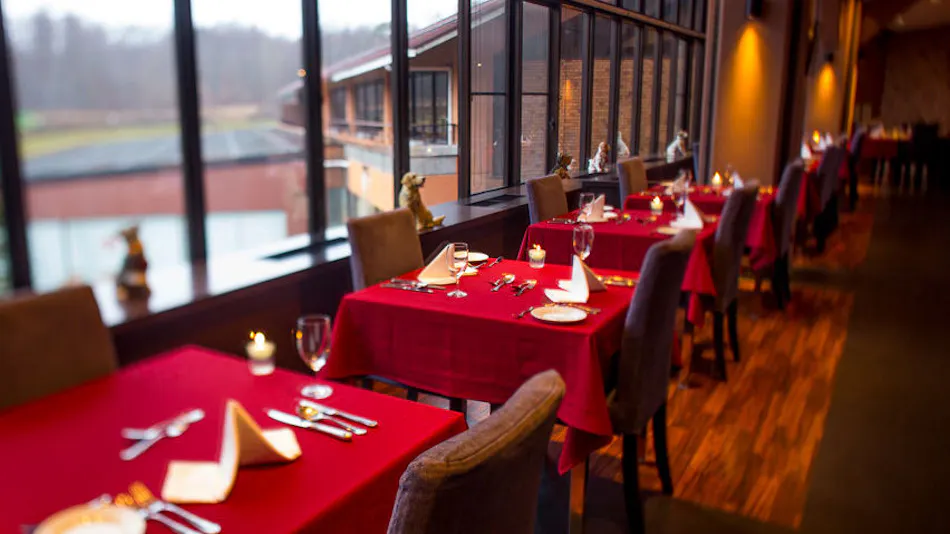 Dog Resort Woof: Pet-Friendly Accommodation