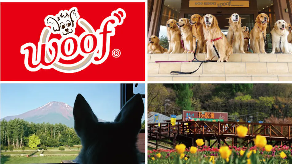 Dog Resort Woof: Pet-Friendly Accommodation