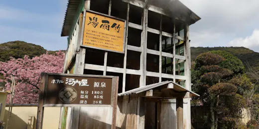 ホテル河内屋 伊豆下賀茂温泉100%源泉かけ流しの湯