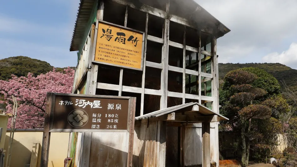 Hotel Kawachiya Izu Shimogamo Onsen 100% Natural Hot Spring