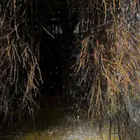 ยูเมะทาเกะ