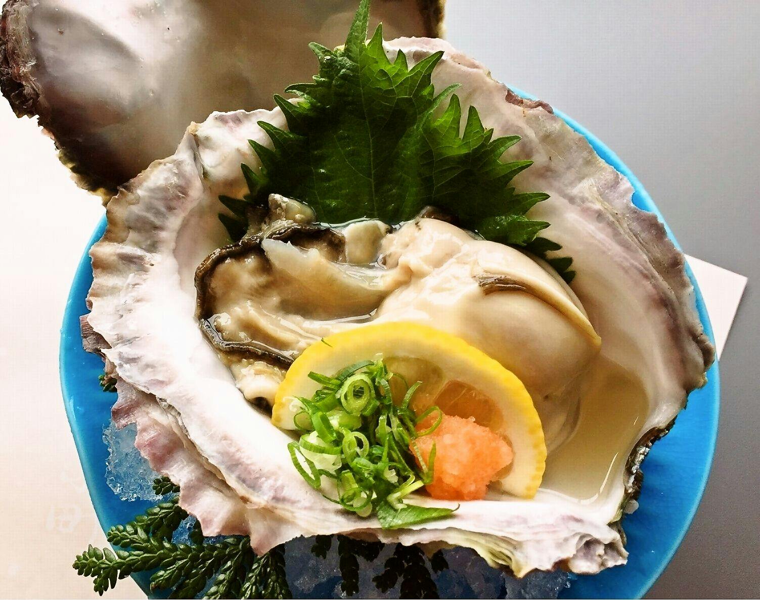 Tiram Batu ~ Permata Musim Panas (Gambar)