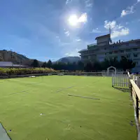 พื้นที่วิ่งเล่นสำหรับสุนัขในสถานที่