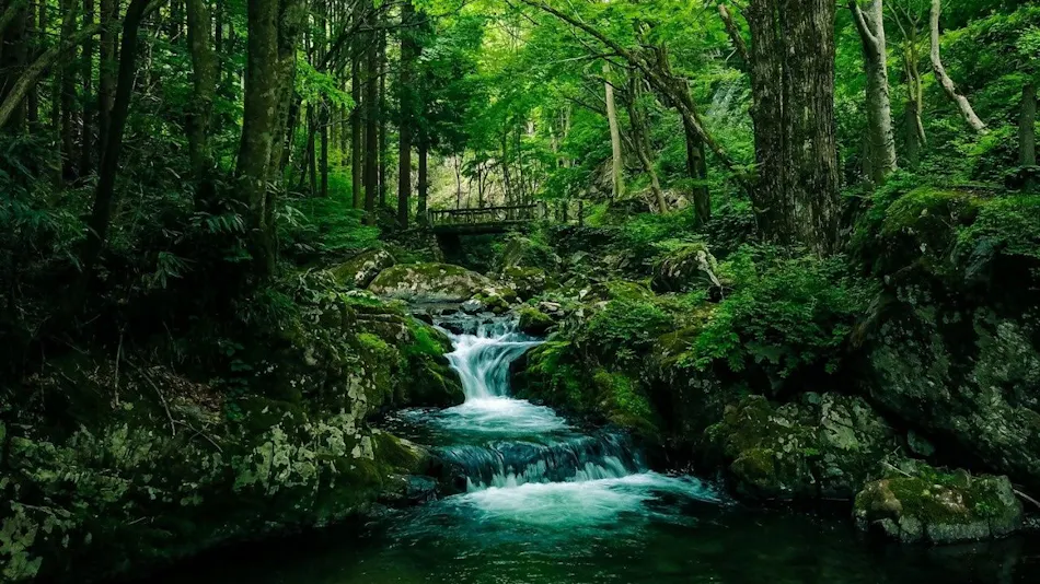 Okutsu Onsen Resort Yoneya Club Okutsu