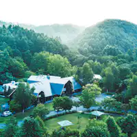Log Hotel Surrounded by Forest