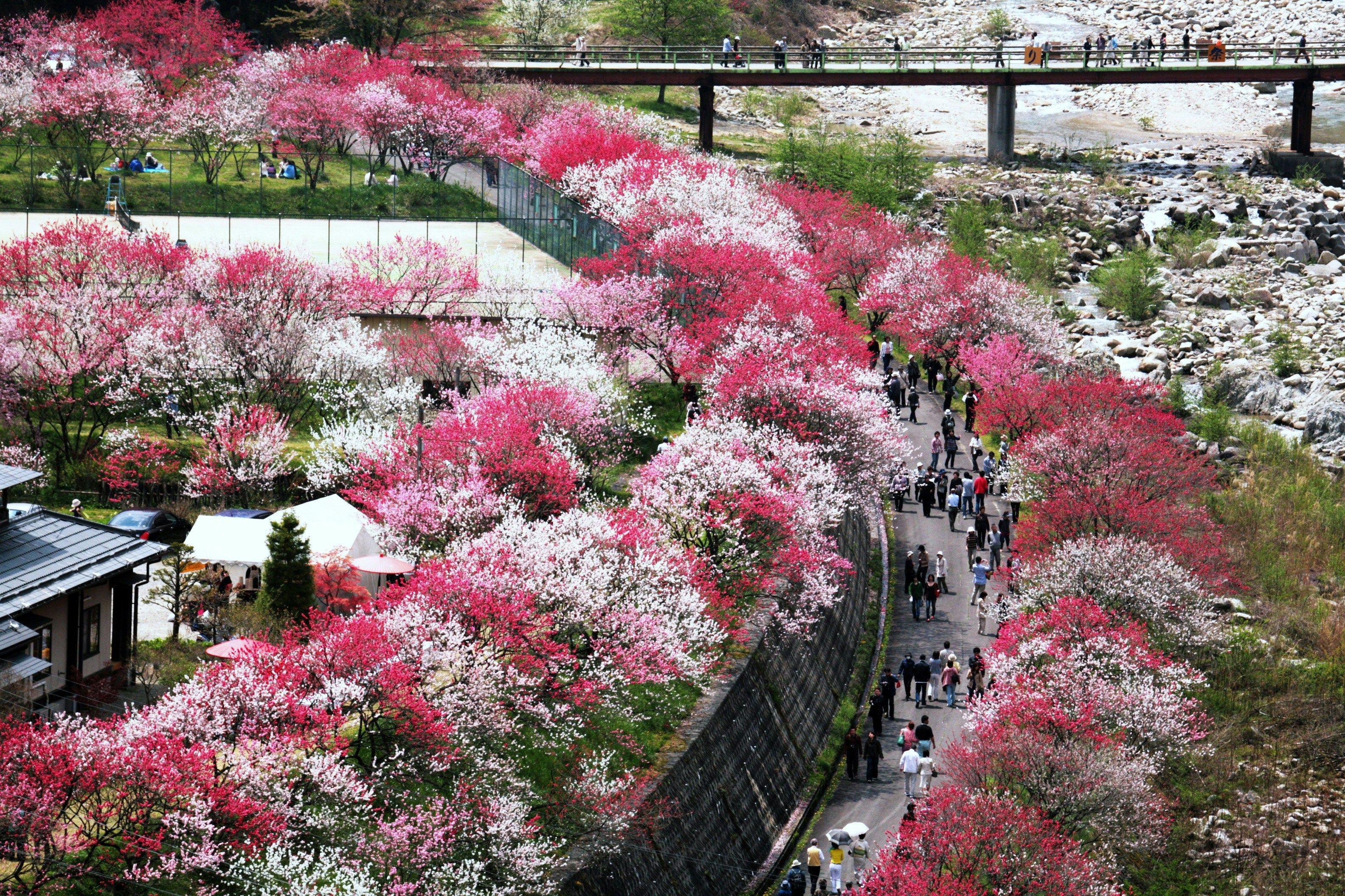Nokuma no Shou Tsukikawa
