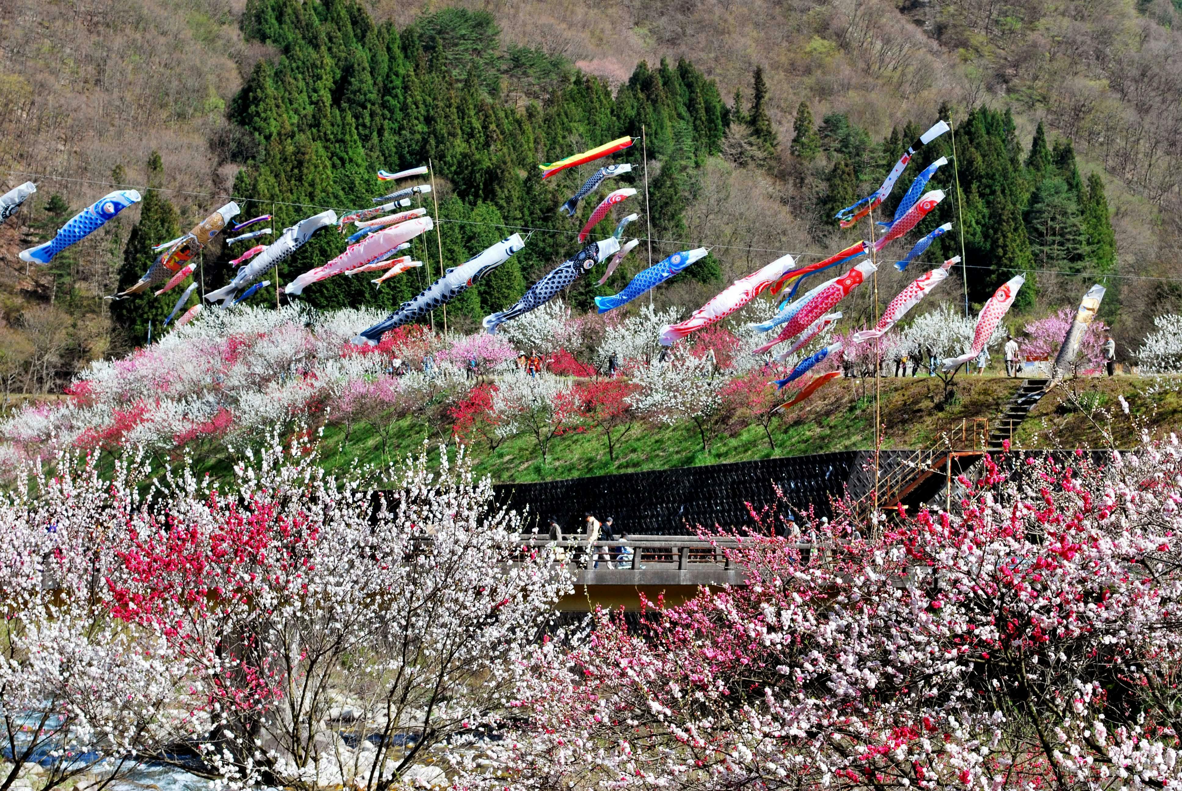 Nokuma no Shou Tsukikawa