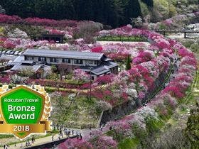 月川温泉　野熊の庄　月川
