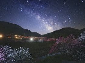 月川温泉　野熊の庄　月川