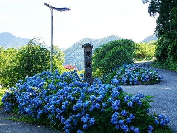 Nokuma no Shou Tsukikawa