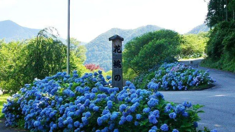 Nokuma no Shou Tsukikawa