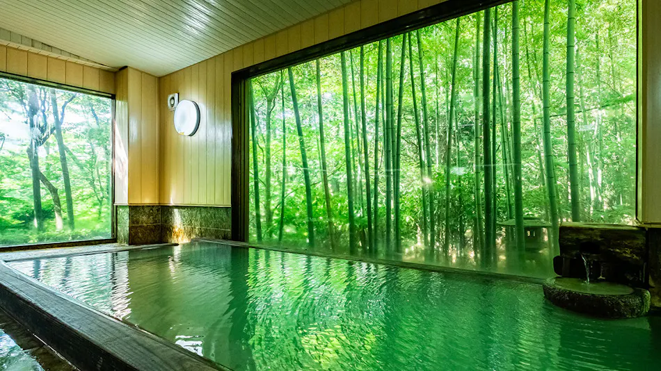 Hakone Onsen Sanso Nakamura