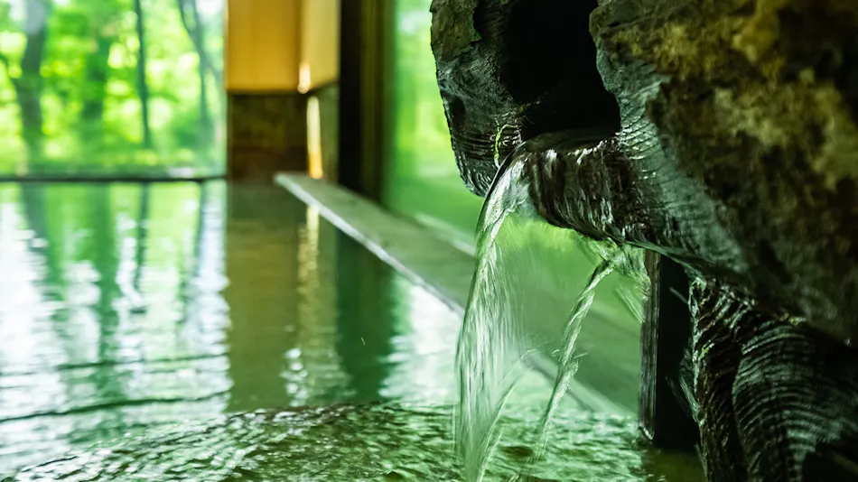 Hakone Onsen Sanso Nakamura