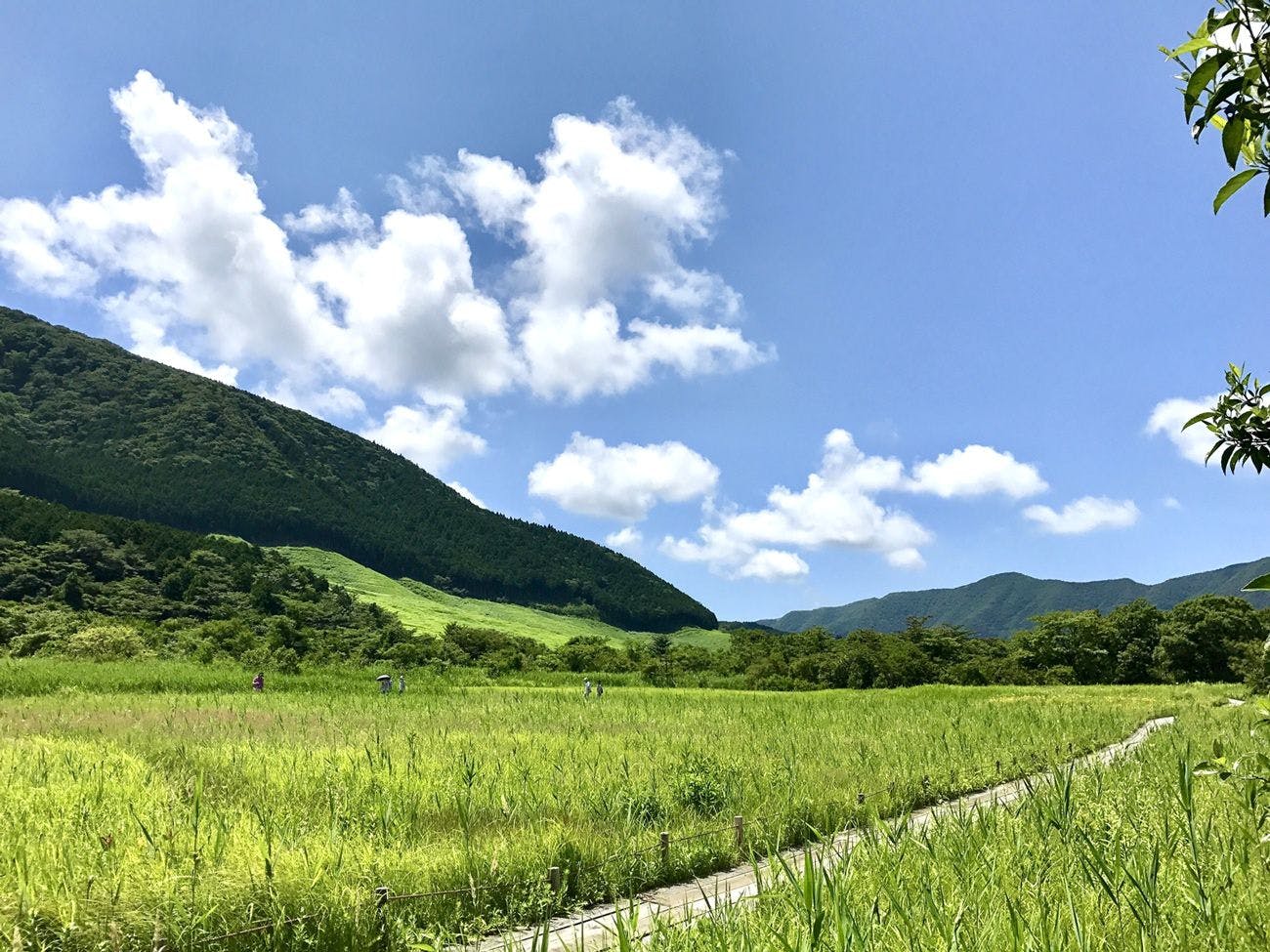 สวนดอกไม้ฮาโกเนะชิสเซ (4 นาทีโดยรถยนต์ / 20 นาทีโดยรถบัส)