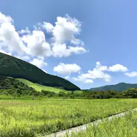 Hakone Shissei Flower Garden (4 minit dengan kereta / 20 minit dengan bas)
