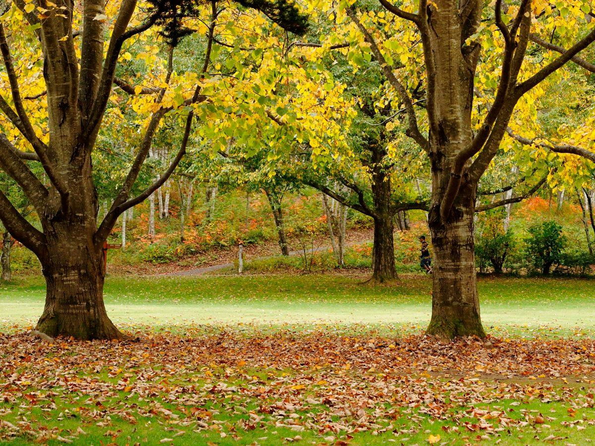 Yatsugatake Nature and Culture Park