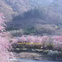 หมู่บ้านอุเอโนะในฤดูใบไม้ผลิ