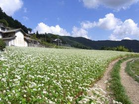 ブルーヴィラあなぶき